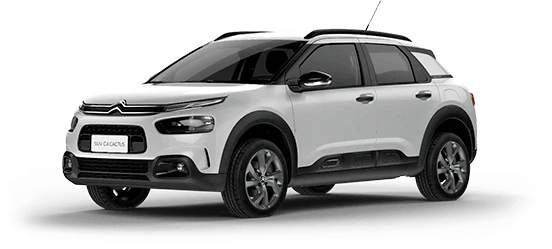 C4 CACTUS FEEL - Mega Insenções C4 CACTUS FEEL - Mega Insenções