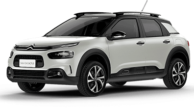 C4 Cactus Shine Pack - Mega Insenções